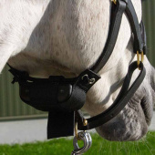 Veulenwacht Birth Alarm Lite 2.0 Veulenwacht Birth Alarm Lite 2.0