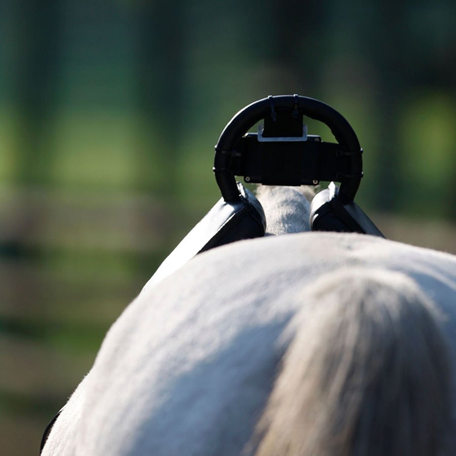 Veulenwacht Birth Alarm Lite 2.0