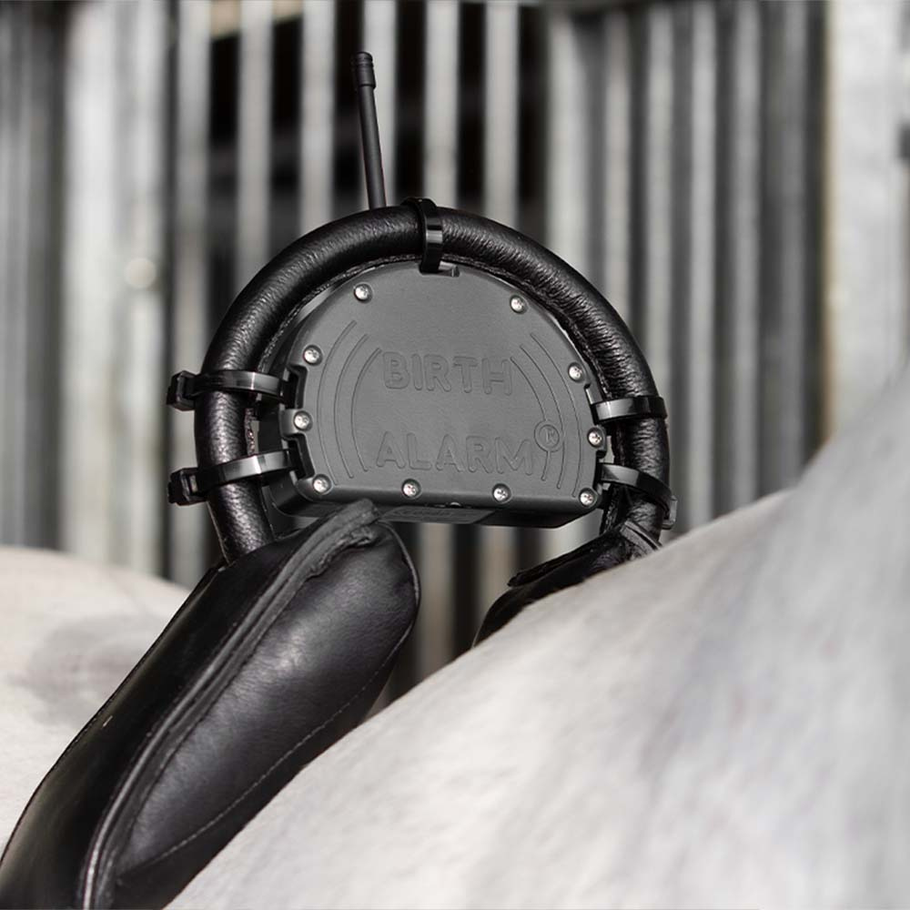 Veulenwacht Birth Alarm Mobile 2.0