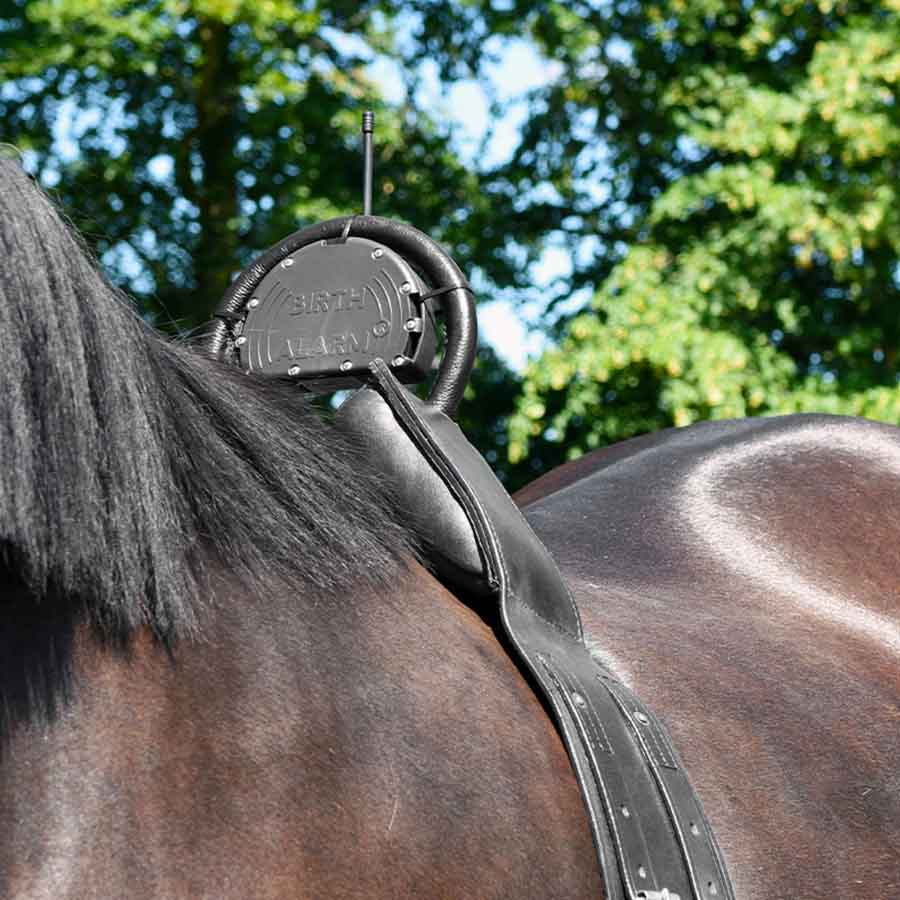 Veulenwacht Birth Alarm Mobile 2.0 met Anti-Roll Singel