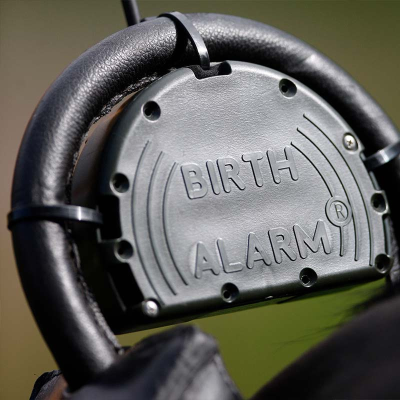 Veulenwacht Birth Alarm Mobile 2.0 met Anti-Roll Singel