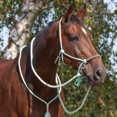 Touwhalster met teugels Combi Liberty Lichtgroen Touwhalster met teugels Combi Liberty Lichtgroen