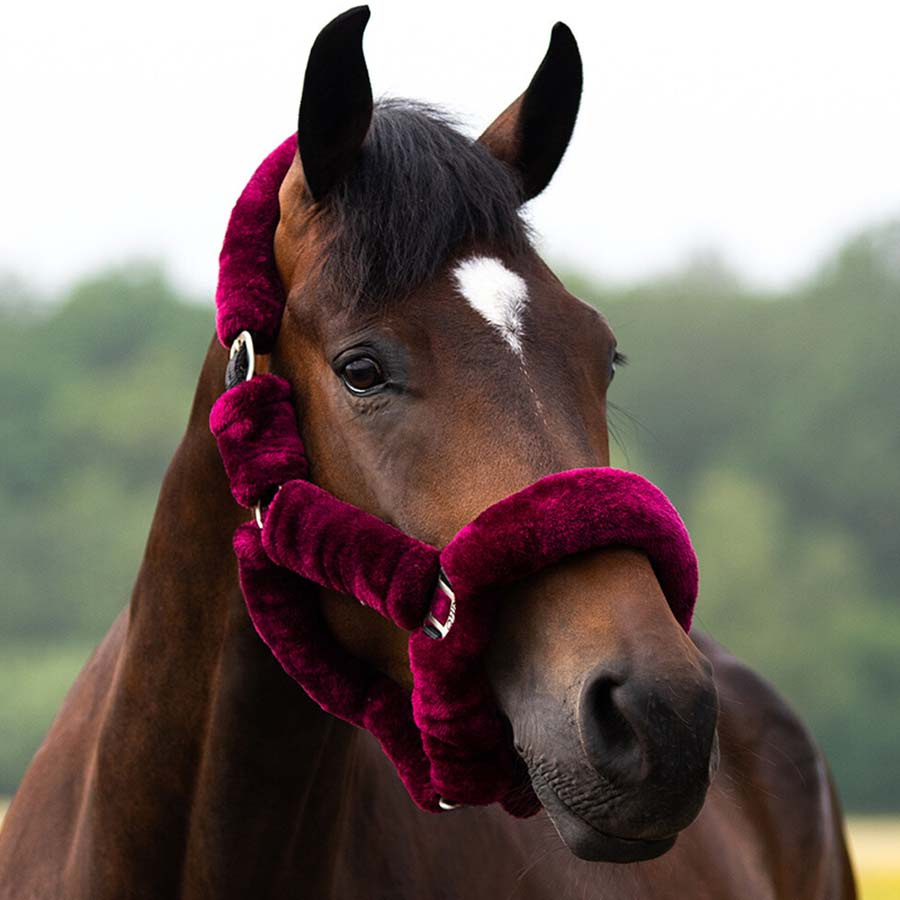 Halster Alaska Fauxfur Wijnrood