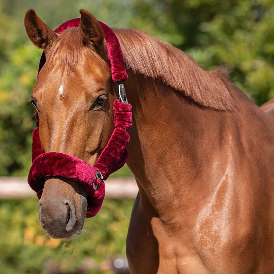 Halster Alaska Fauxfur Wijnrood