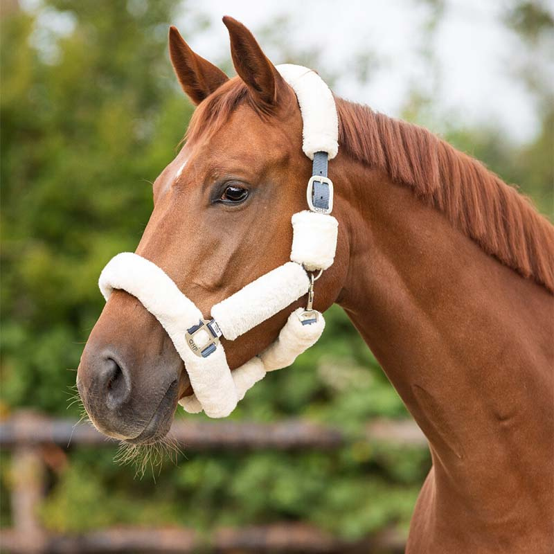 Halster Alaska Fauxfur Natuur