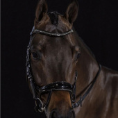 Hoofdstel Equitus Beta Glam Zwart Hoofdstel Equitus Beta Glam Zwart