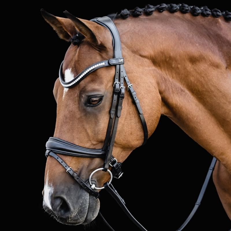 Dressuurhoofdstel Charleston Zwart