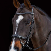 Hoofdstel Ancona Select Zwart Hoofdstel Ancona Select Zwart