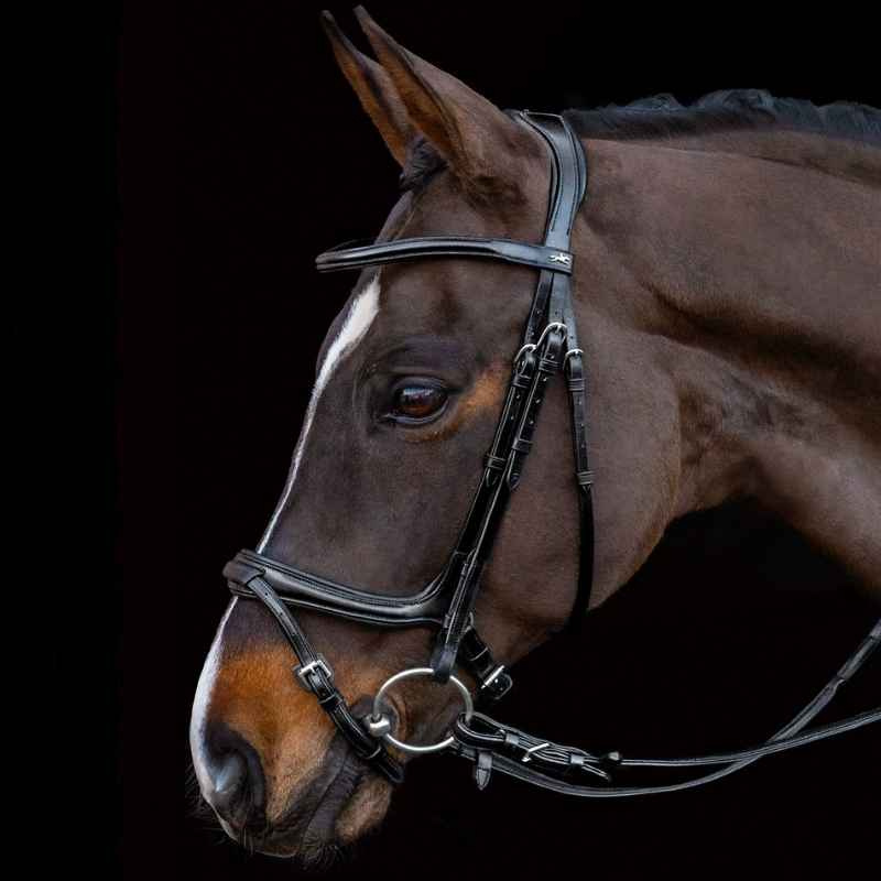 Hoofdstel Ancona Select Zwart