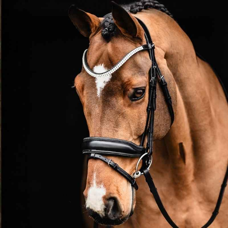 Dressuurhoofdstel Valencia Zwart