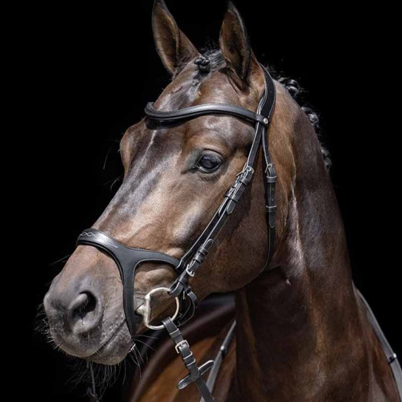 Hoofdstel met Teugels Anatomic Sport Zwart