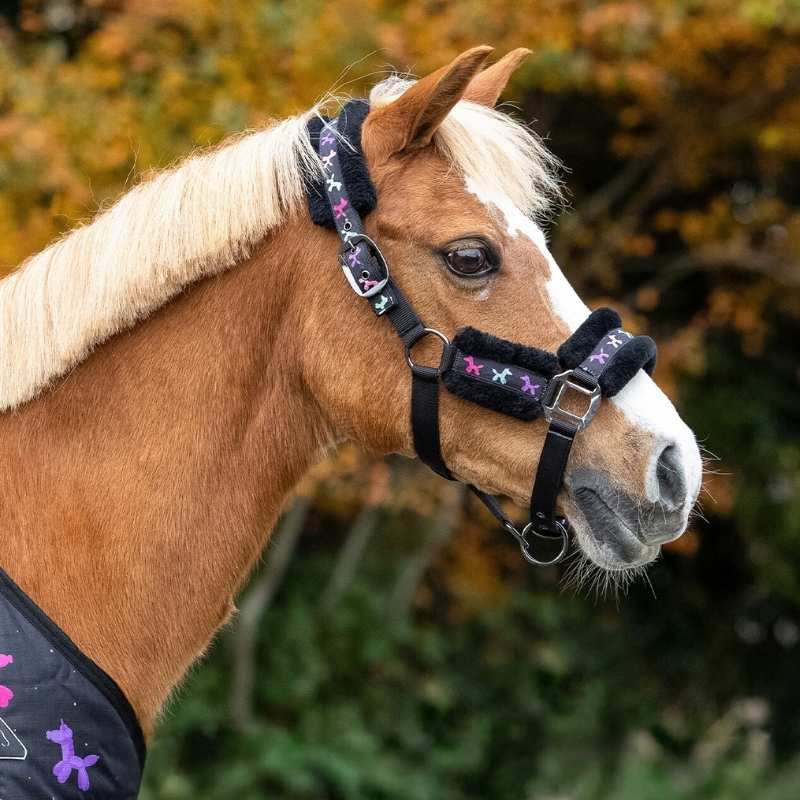 Halter en Halstertouw Isalyn Unicorn Zwart