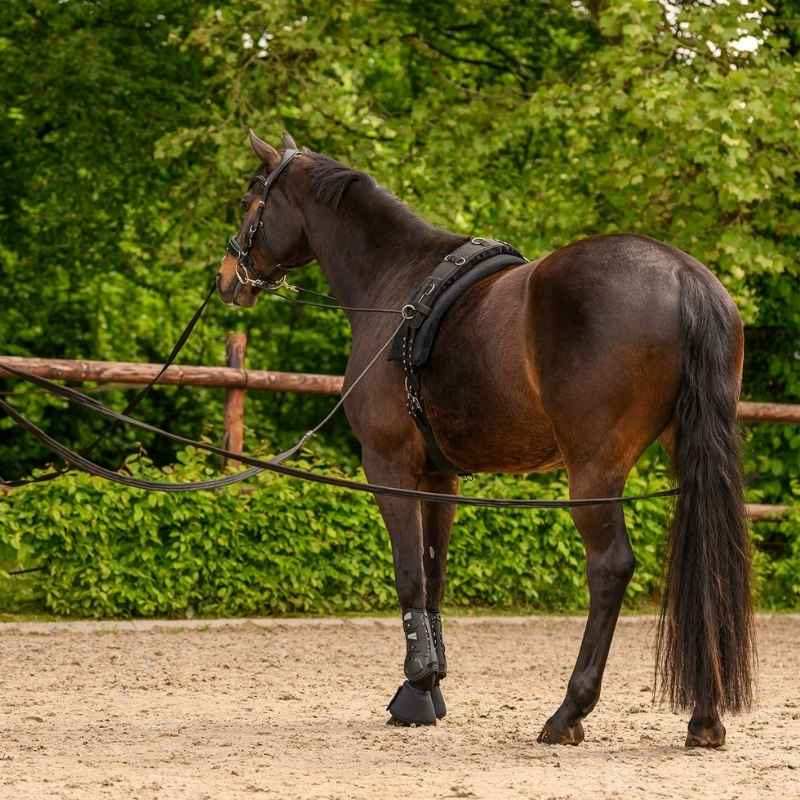 Dubbele longeerlijn Classic Zwart