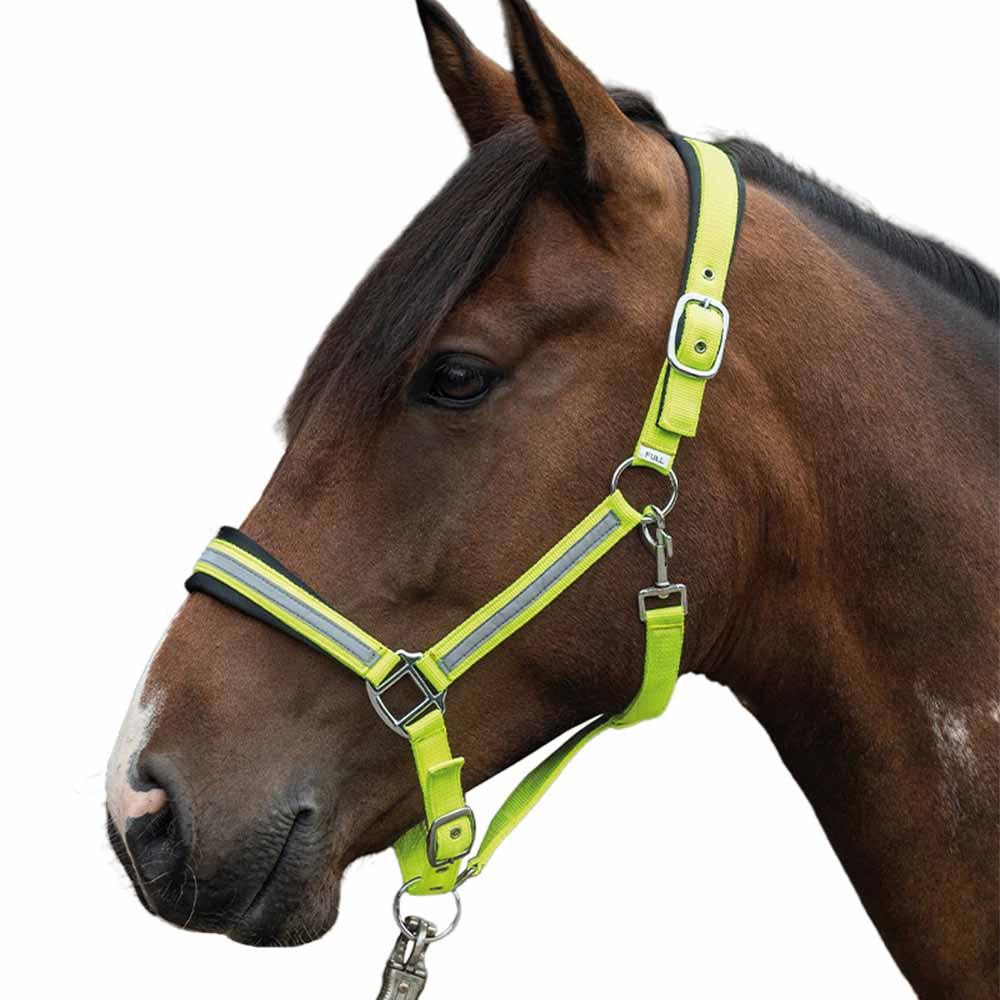 Halster Reflecterend Geel/Zilver