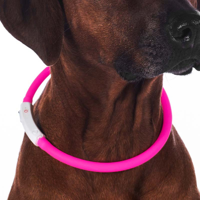 Hondenhalsband LED-lampen Roze
