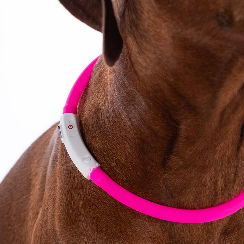 Hondenhalsband LED-lampen Roze