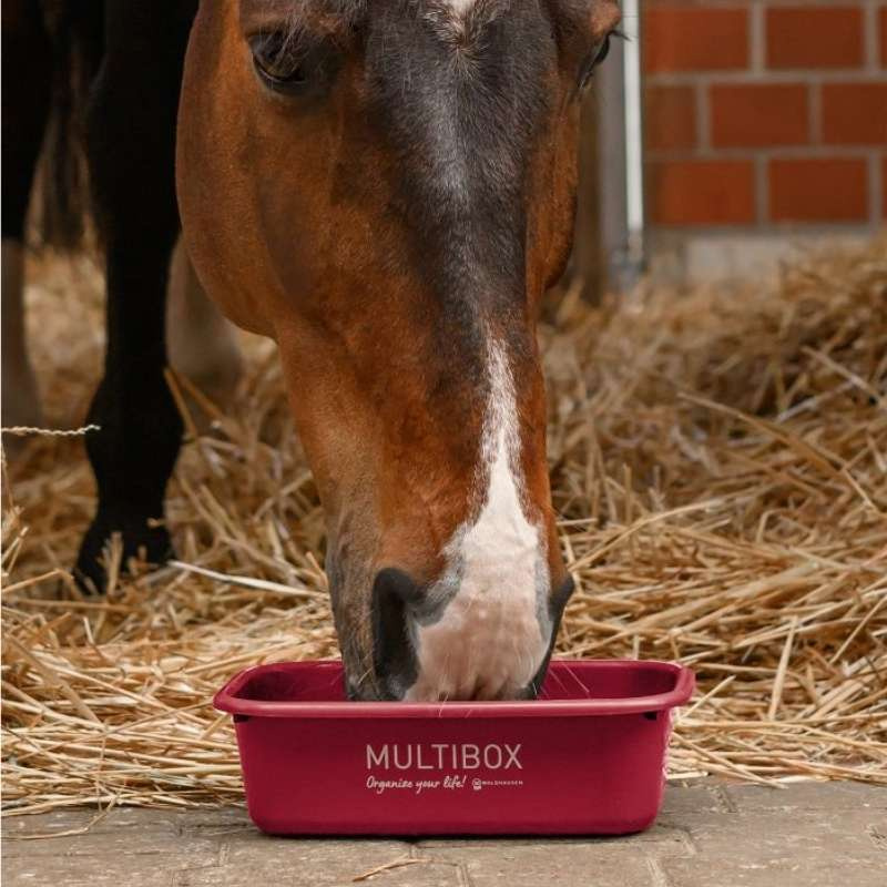 Multibox met Deksel 3L Rood
