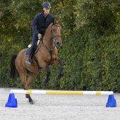 Cavalettiblok Three Heights Blauw Cavalettiblok Three Heights Blauw
