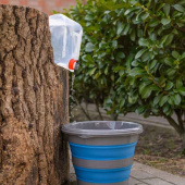 Waterkan Foldable 10L Transparant Waterkan Foldable 10L Transparant