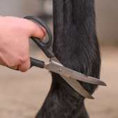 Schaar Fetlock Shears Bend Zwart Schaar Fetlock Shears Bend Zwart