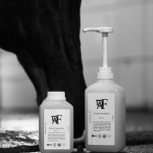 Shampoo Everyday Original 00.01 Shampoo Everyday Original 00.01