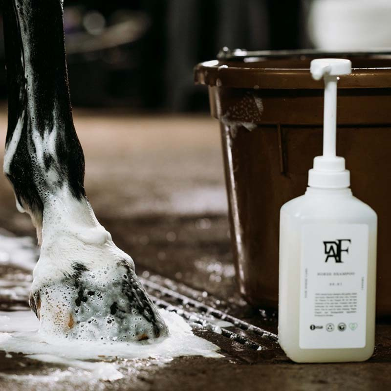 Shampoo Everyday Original 00.01