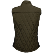 Verwarmd vest Heren Teide Groen Verwarmd vest Heren Teide Groen