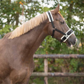 Kaptoom Fauxfur Zwart Kaptoom Fauxfur Zwart