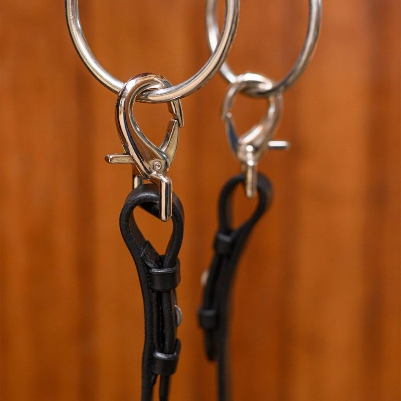 Gespsluiting voor Teugels Snap Hook Zilver