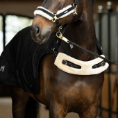 Loopbanddeke Delta II Walker Zwart Loopbanddeke Delta II Walker Zwart