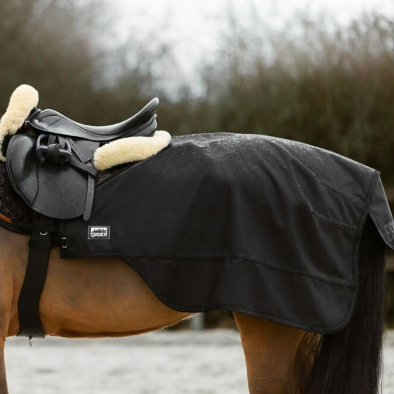 Rij- en Longeerdeken Exercise Sheet Zwart