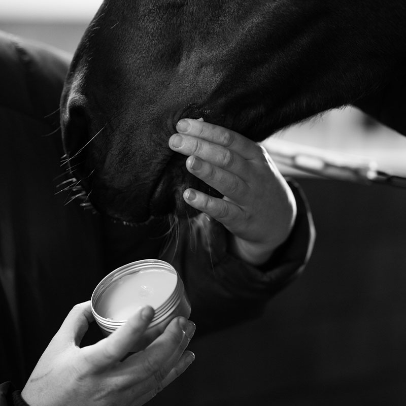 Paardzalf Survivial Balm 00.02