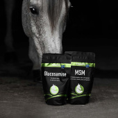 Glucosamine Glucosamine