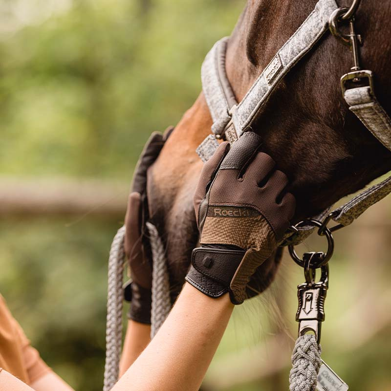 Rijhandschoenen Millero Bruin