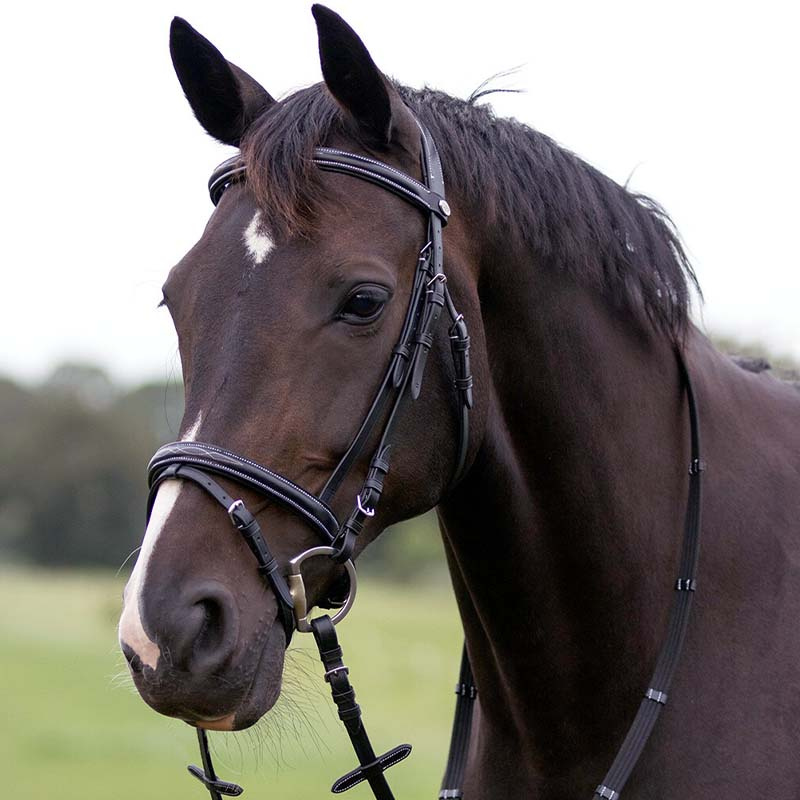 Anatomisch Hoofdstel Luxury Stitched Zwart