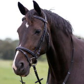 Anatomisch Hoofdstel Luxury Stitched Zwart Anatomisch Hoofdstel Luxury Stitched Zwart