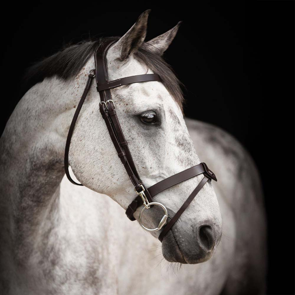 Bidsel Trainer Basic Donkerbruin