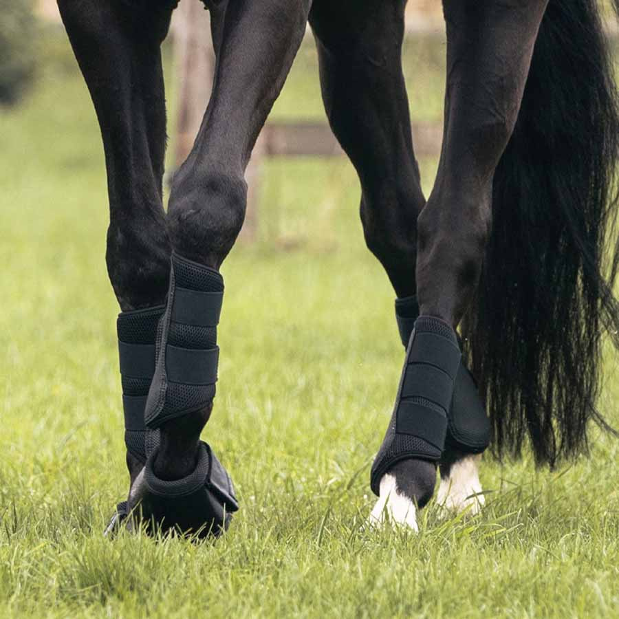 Beenbeschermers Opal Zwart