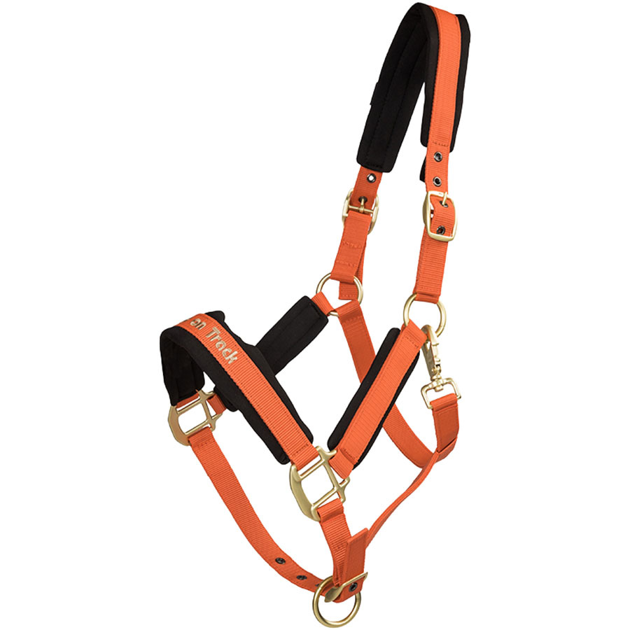 Halster Werano Oranje