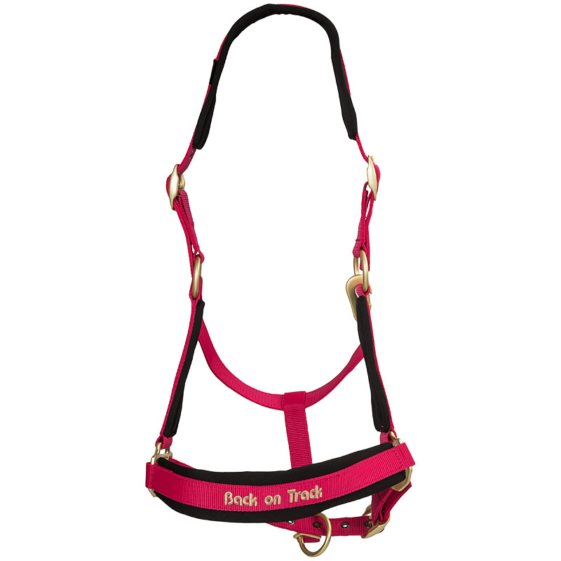 Halster Werano Roze