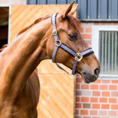 Halster Werano Grijs Halster Werano Grijs