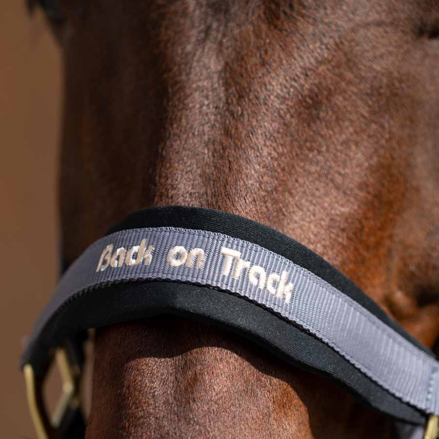 Halster Werano Grijs