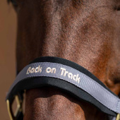 Halster Werano Grijs Halster Werano Grijs