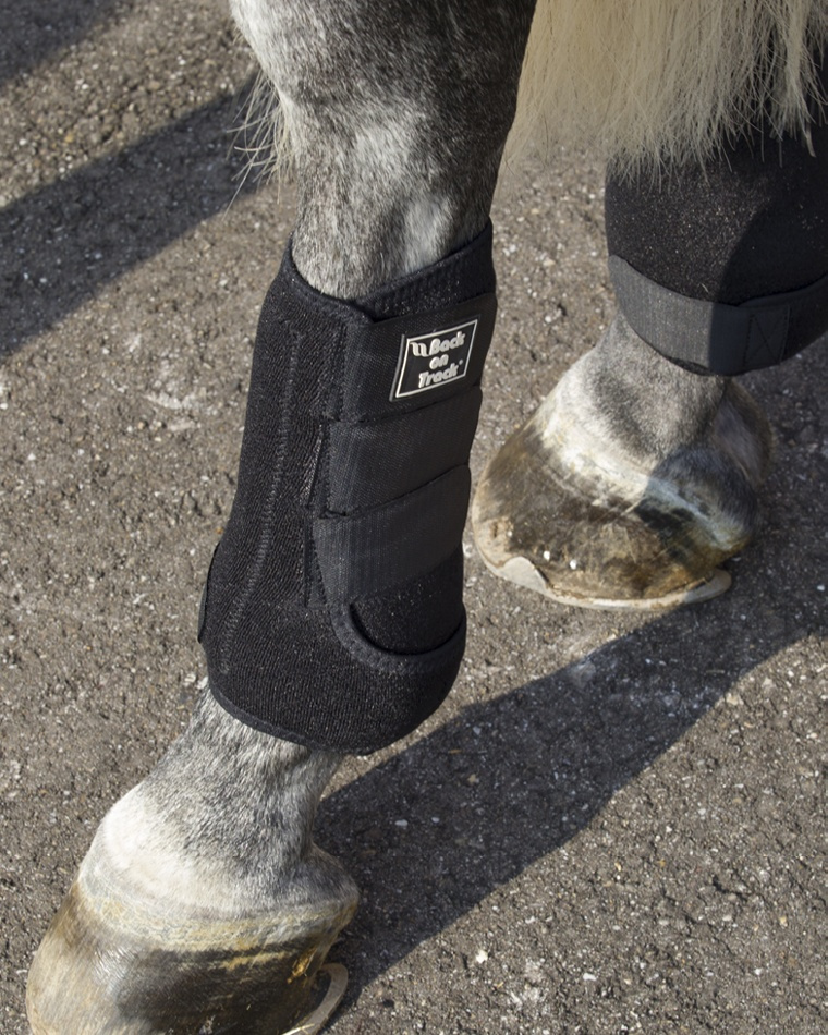 Beenbeschermers Royal