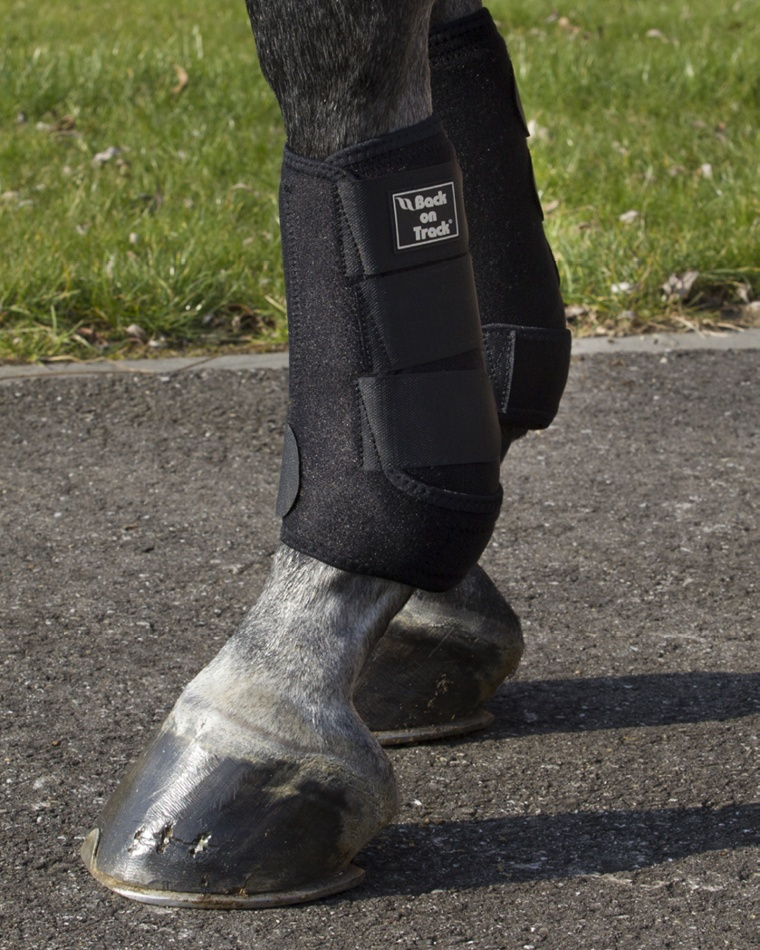 Beenbeschermers Royal