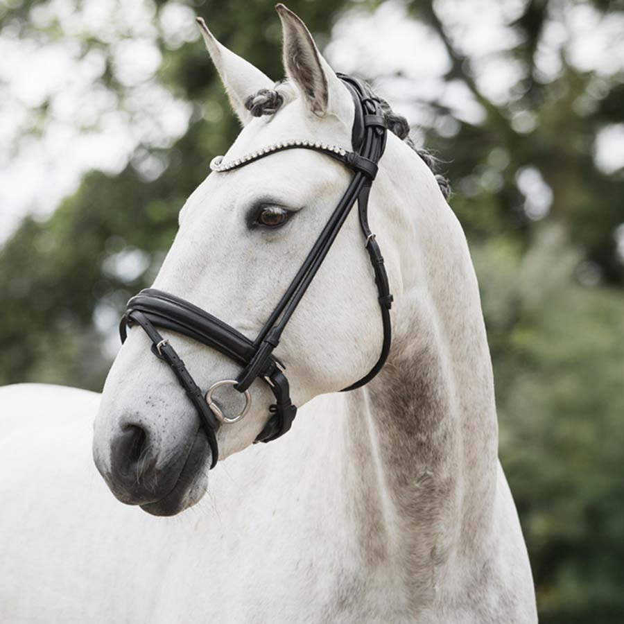 Dressuurtrens Caselle Supreme Zwart