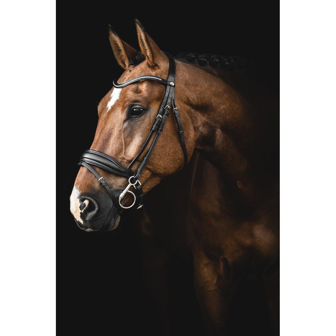 Dressuurhoofdstel Integro Bruin