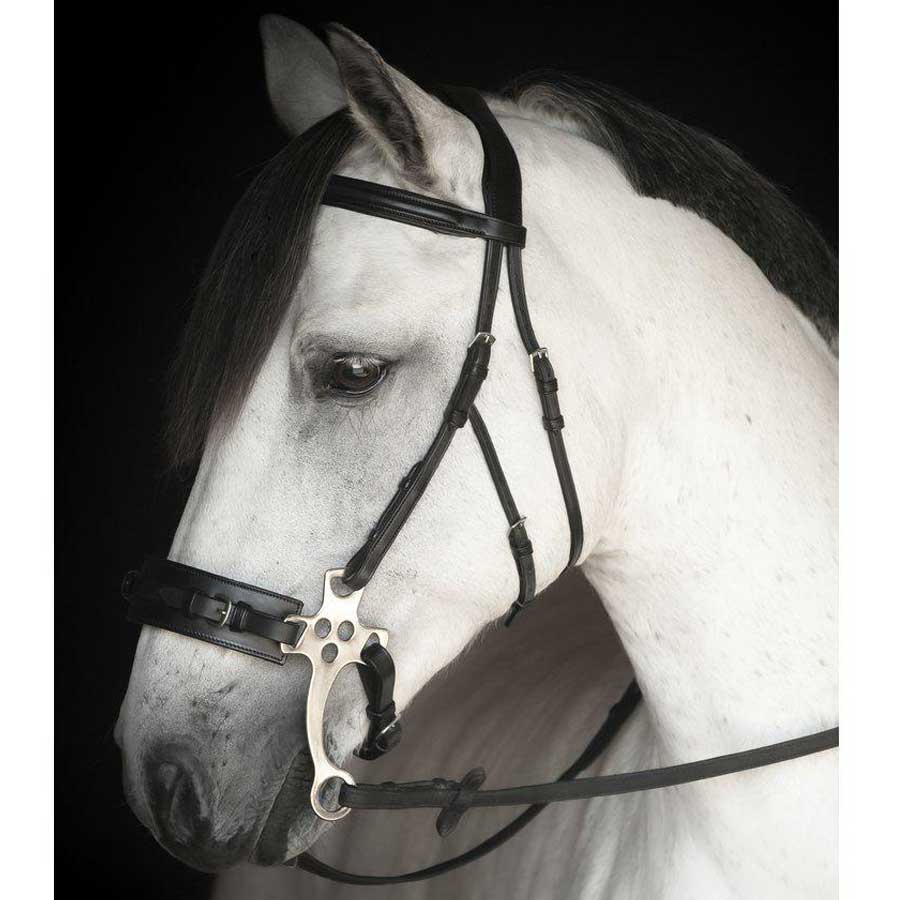 Hackamore-hoofdstel Chester Supreme Zwart