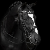 Kandare Delicato Supreme Zwart Kandare Delicato Supreme Zwart