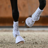 Dressuur beenbeschermers Front Absolute Front Elastic Wit Dressuur beenbeschermers Front Absolute Front Elastic Wit